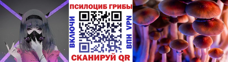 магазин продажи   Ржев  Галлюциногенные грибы мухоморы 